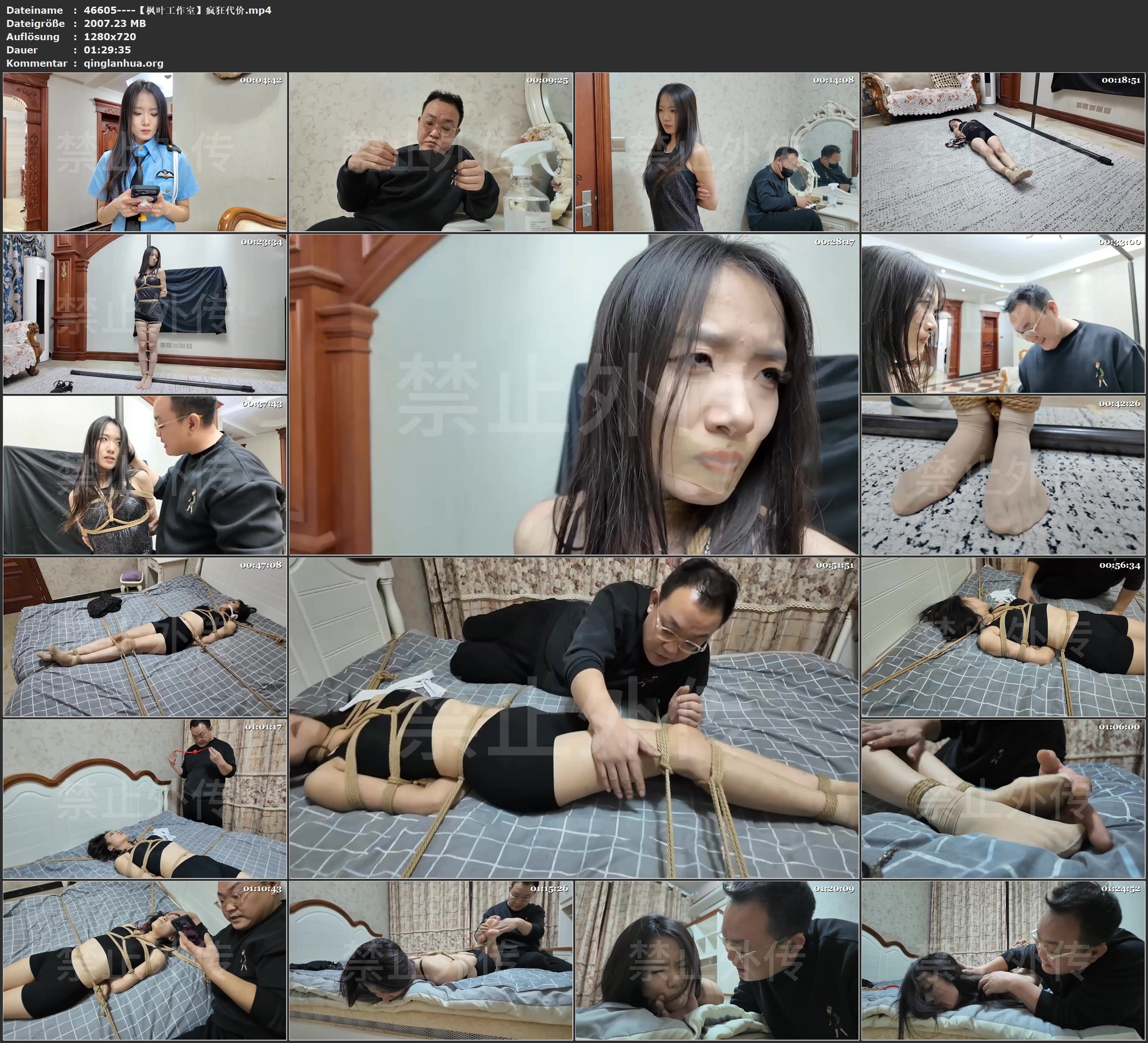 46605----【枫叶工作室】疯狂代价.jpg